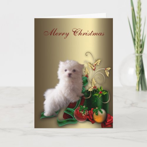 Maltese Puppy Dog Christmas Holiday Card