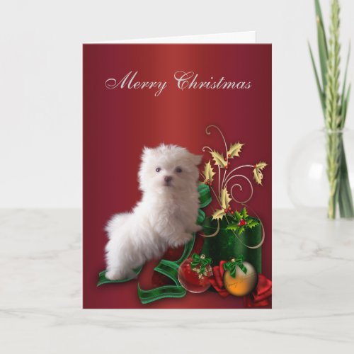 Maltese Puppy Dog Christmas Holiday Card