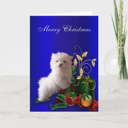 Maltese Puppy Dog Christmas Holiday Card