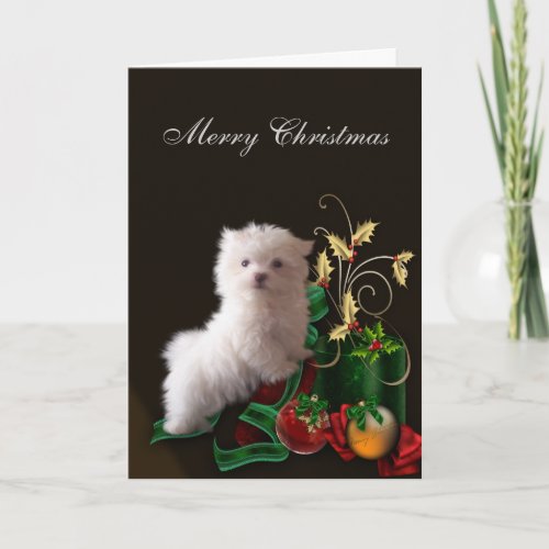 Maltese Puppy Dog Christmas Holiday Card