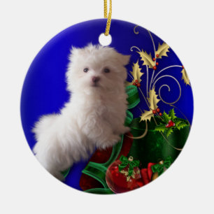 Maltese Puppy Dog Ornament