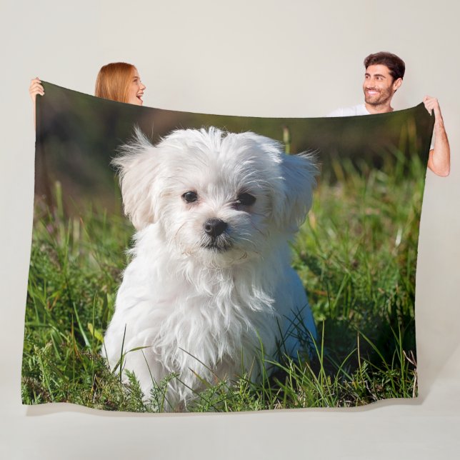 MALTESE PUPPY FLEECE BLANKET (In Situ)