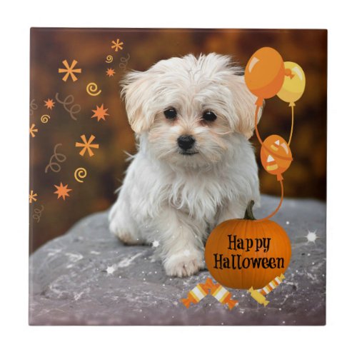 Maltese Puppy Halloween Celebration Tile