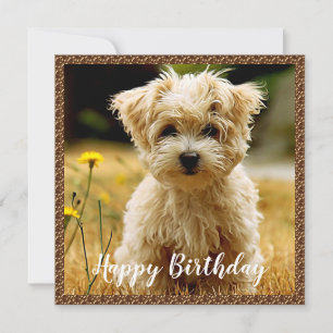 Maltese Puppy Happy Birthday Card