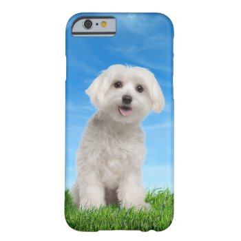 Maltese Puppy Iphone 6 Case by takecover at Zazzle