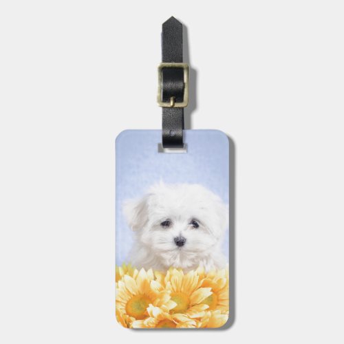 Maltese puppy luggage tag