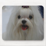 Maltese Puppy Mouse Pad