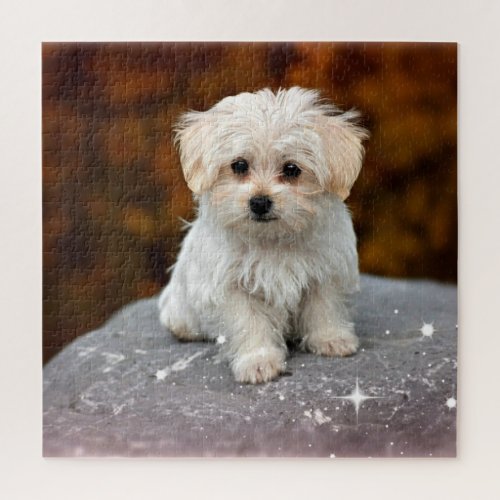 Maltese Puppy oh so adorable Jigsaw Puzzle
