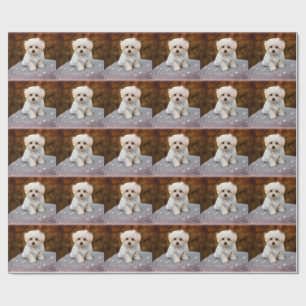 Maltese Puppy, oh so cute, Wrapping Paper