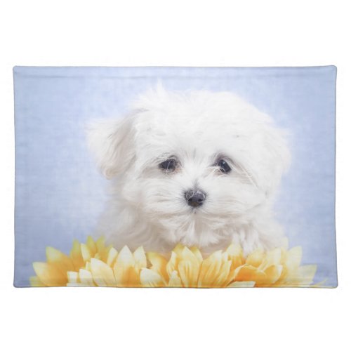 Maltese puppy placemat