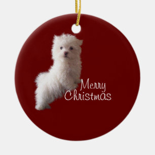 Maltese Puppy Red Ornament