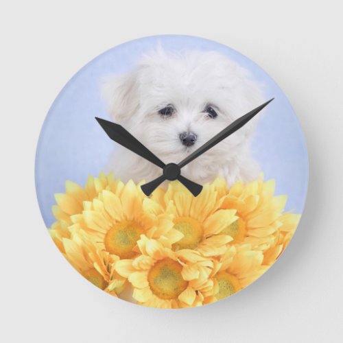 Maltese puppy round clock