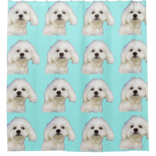 Maltese puppy shower curtain (Front)