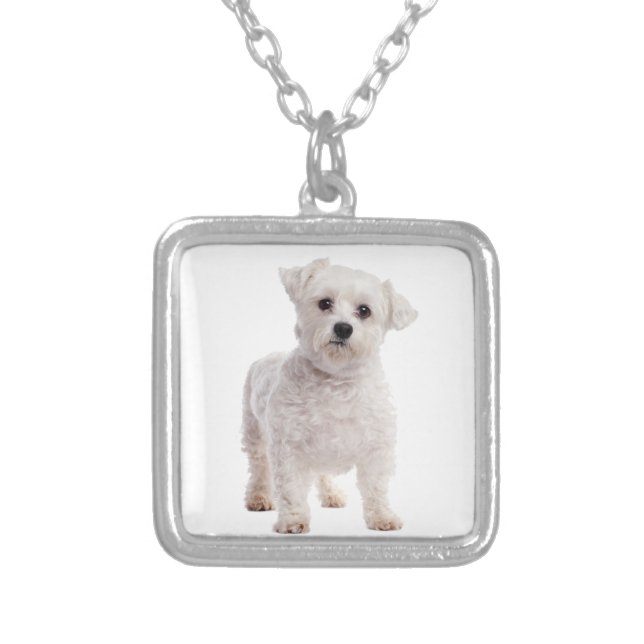 Maltese Puppy Silver Plated Necklace (Front)