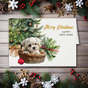 Maltese Puppy Wicker Basket Christmas Tree Cards