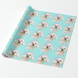 Maltese puppy