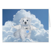 Maltese Rescue Angel (Front Horizontal)