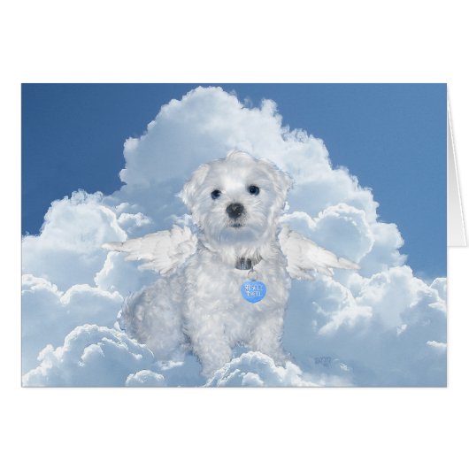 Maltese Rescue Angel (Front Horizontal)