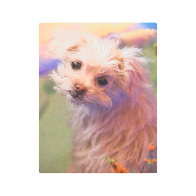 Maltese Rescue Puppy Day 1 THE WEE ONE Metal Print (Front)