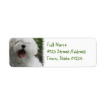 Maltese Return Address Label