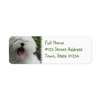 Maltese Return Address Label by DogPoundGifts at Zazzle