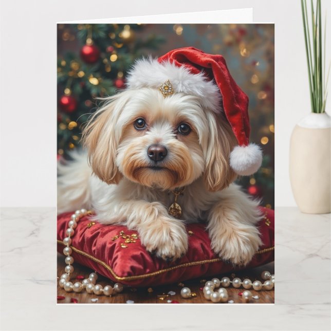 Maltese Royal Christmas Crimson Hat Card (Front)