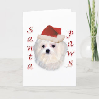 Maltese Santa Paws Holiday Card