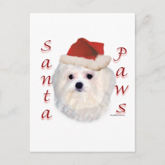 Maltese Santa Paws Holiday Postcard