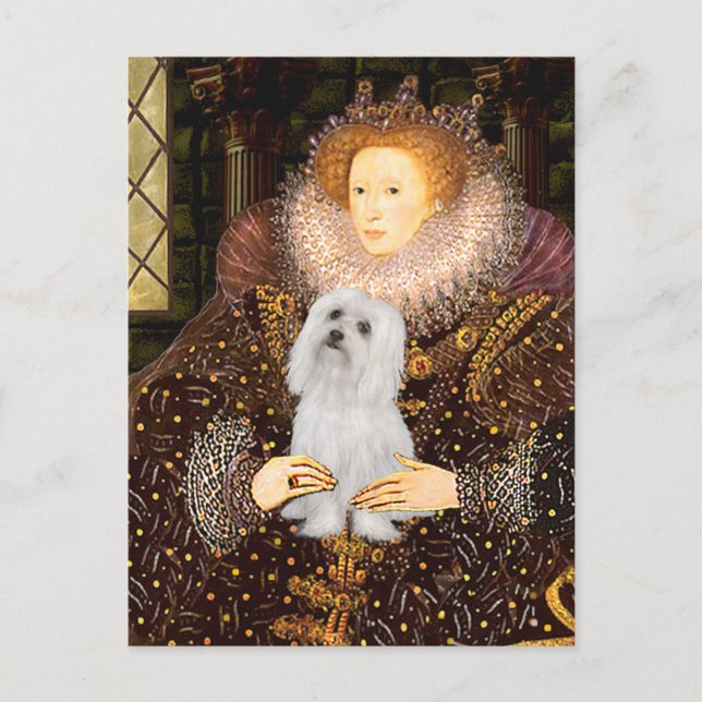 Maltese (SD) - Queen Postcard (Front)