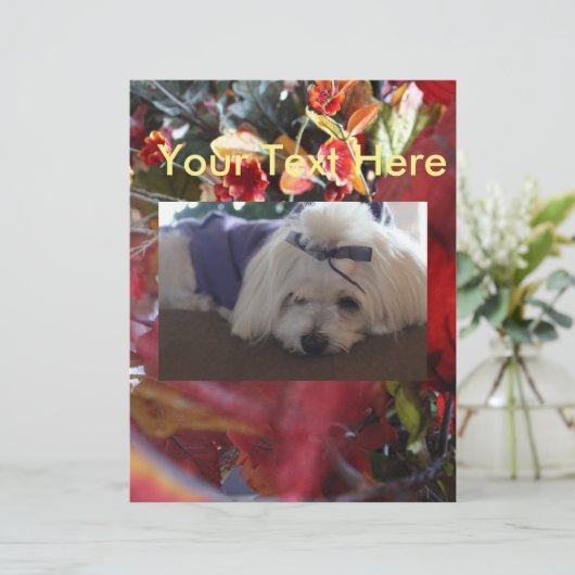 Maltese Seasons Leaves Design (Standing Front)