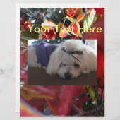 Maltese Seasons Leaves Design (Front/Back)