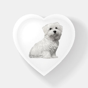 Maltese Sitting Dog Puppy Paperweight