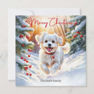 Maltese Terrier Dog In Winter Snow Merry Christmas Holiday Card