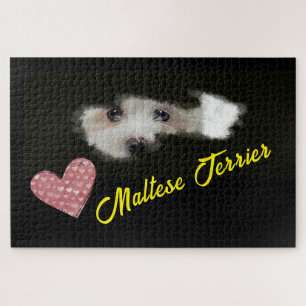 Maltese Terrier Eyes Solid Color 1000 piece Jigsaw Puzzle