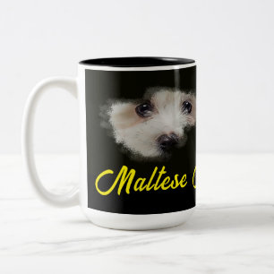 Maltese Terrier Eyes Solid Color Two-Tone Coffee Mug