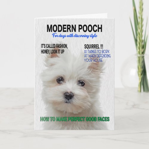 Maltese Terrier Parody Magazine Cover  Card