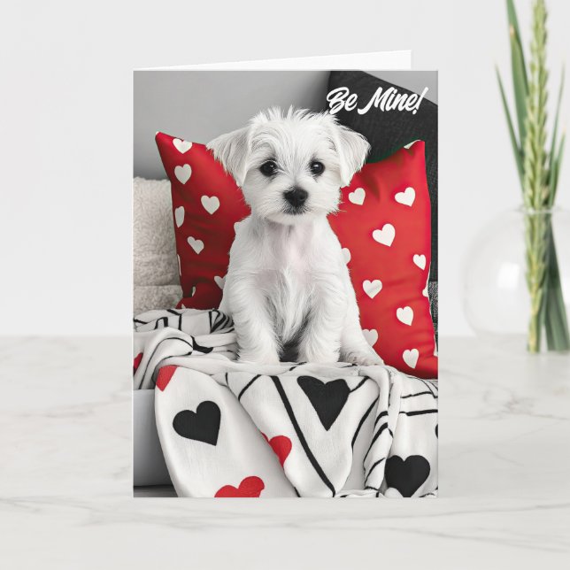 Maltese Terrier Puppy Valentine Card (Front)