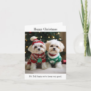 Maltese Terriers in Christmas Sweaters Card