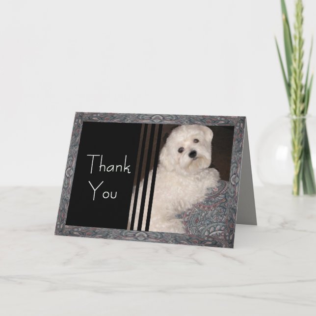 Maltese THANK YOU  Card -for Anyone (Front)