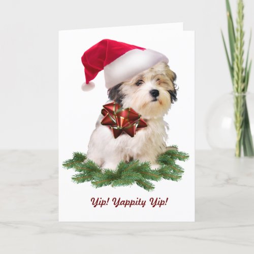 Maltese Theme Christmas Card