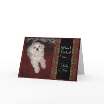 Maltese 'Thinking of You with Love" humor Card