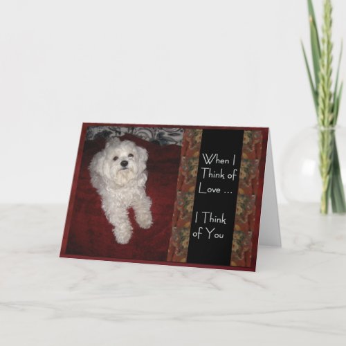 Maltese Thinking of You with Love humor Card