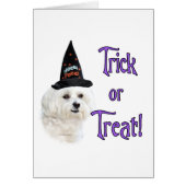 Maltese Trick (Front)