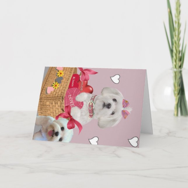 Maltese Valentine Art Holiday Card (Front)