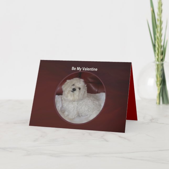 Maltese Valentine - You Have My Heart Card (Front)