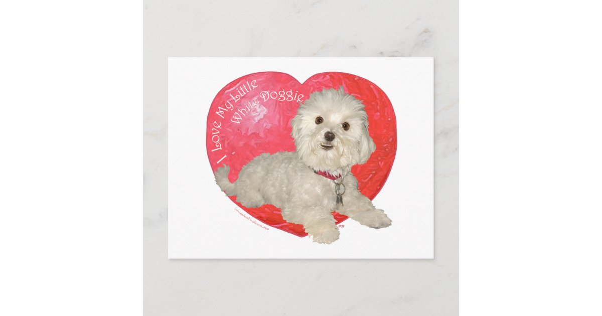 Maltese Valentine's Day Holiday Postcard Zazzle