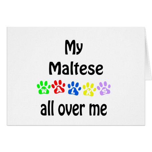Maltese Walks Design Cards (Front Horizontal)