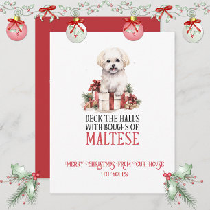 Maltese Whimsical Christmas Holiday Card