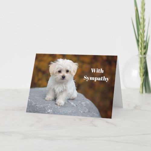 Maltese White Puppy Photo Sympathy Card