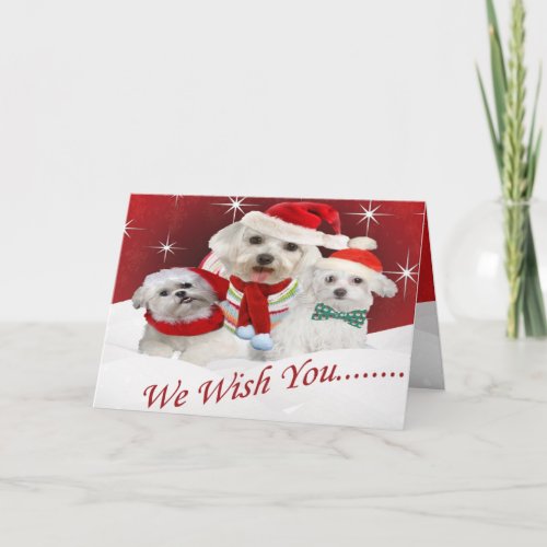 Maltese Wishes you Merry Christmas Maltese Wis Holiday Card